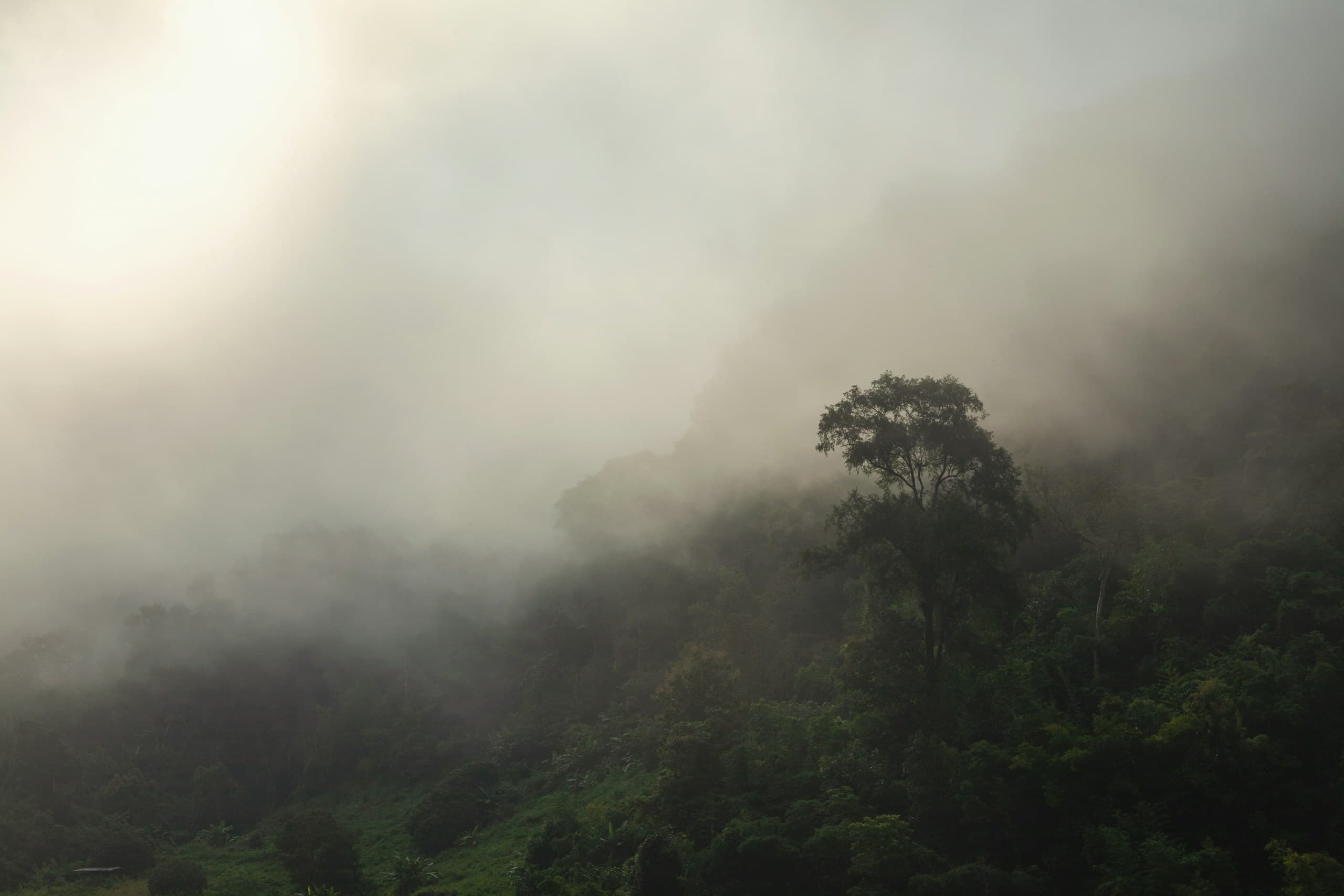 Forested hills in morning mist with sunlight breaking through cloud