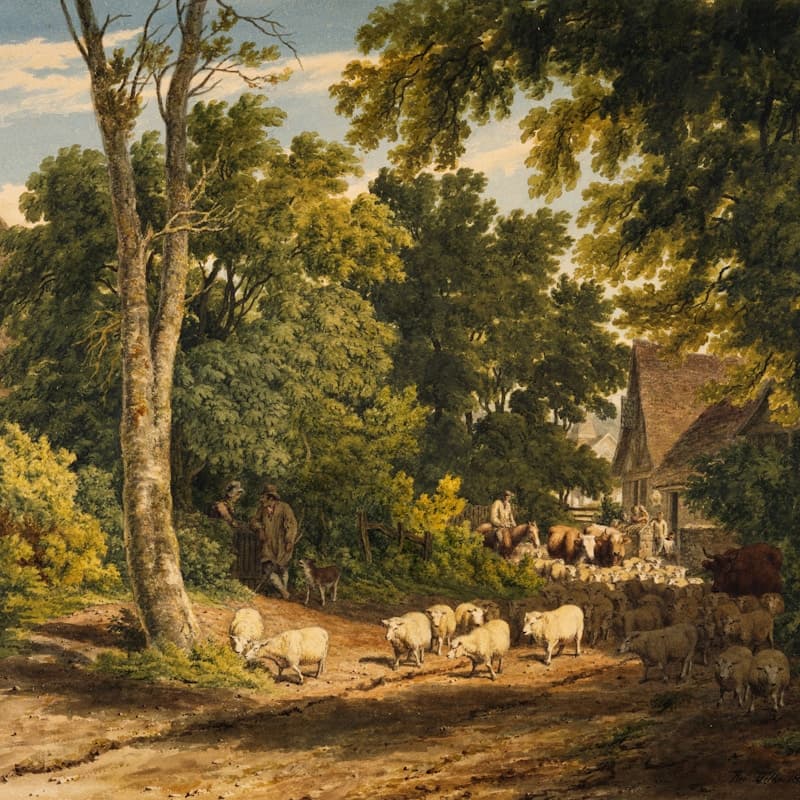 Coastal Dawn — Ed. 12/50