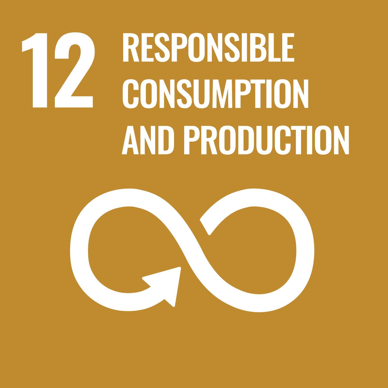 Sustainable Development Goal 12: Responsible Consumption & Production