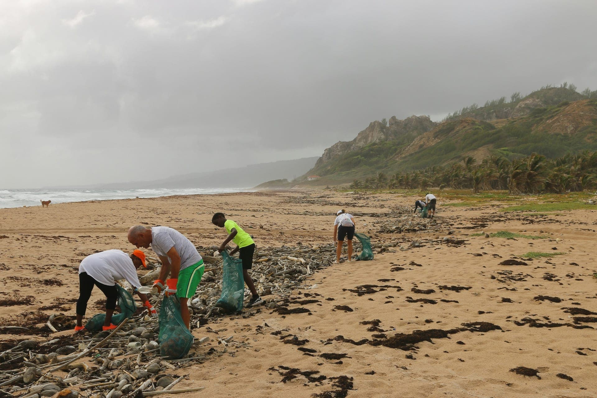 Beach Cleanup Initiative (Demo)