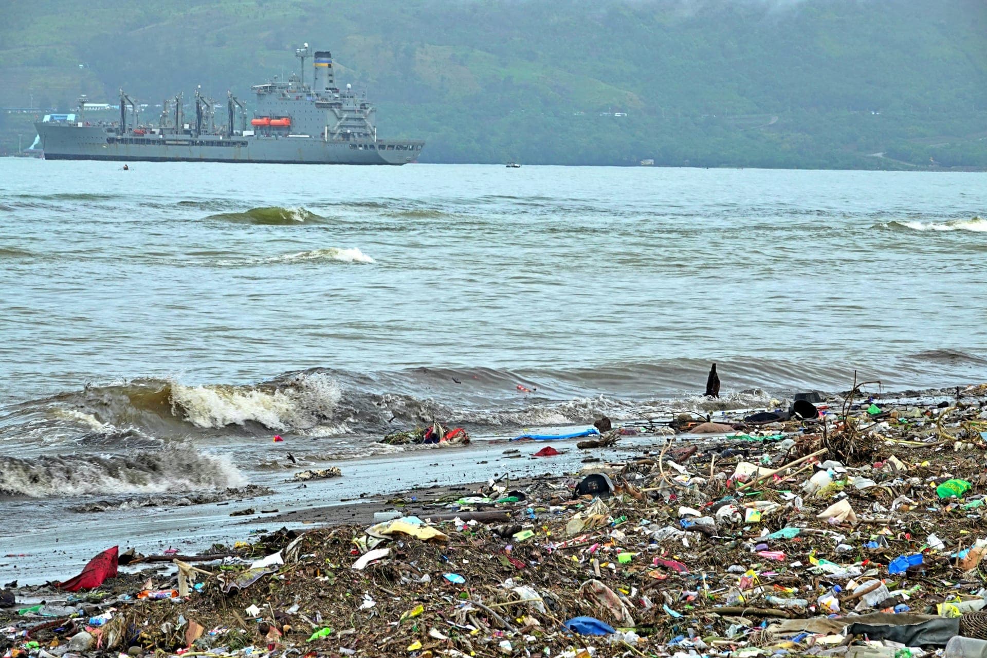 Beach Cleanup Initiative (Demo)