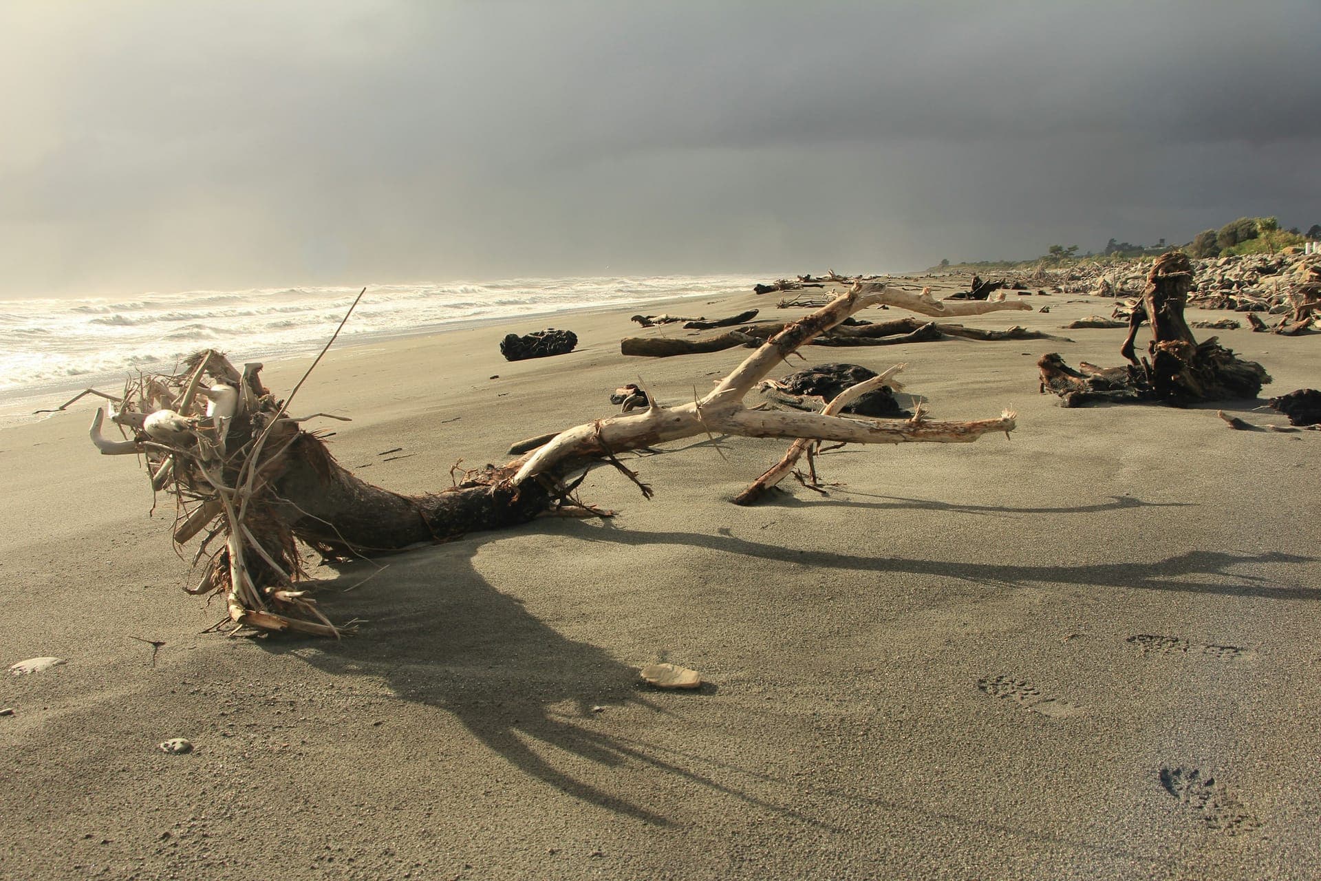 Beach Cleanup Initiative (Demo)