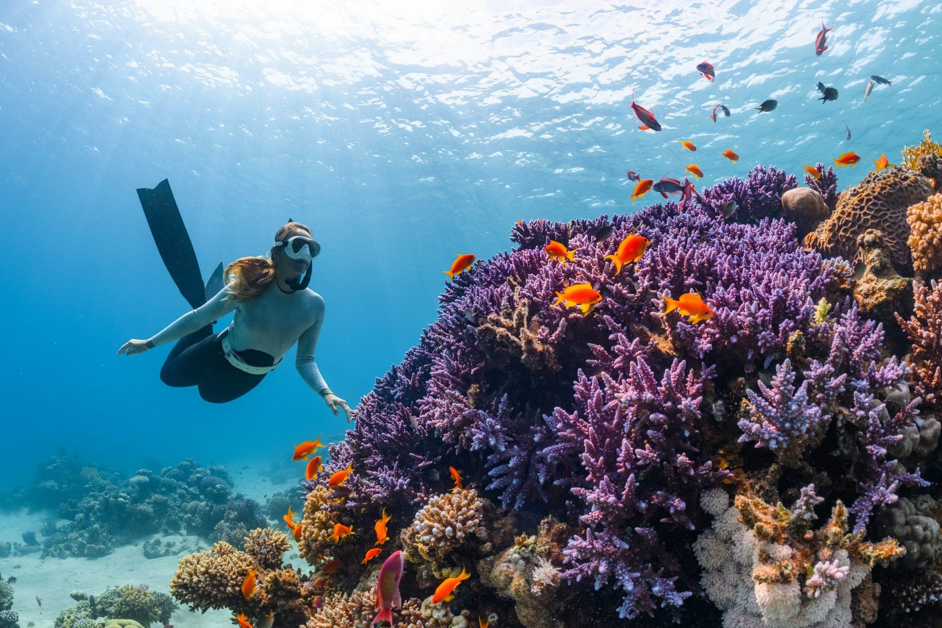 Coral Reef Restoration (Demo)