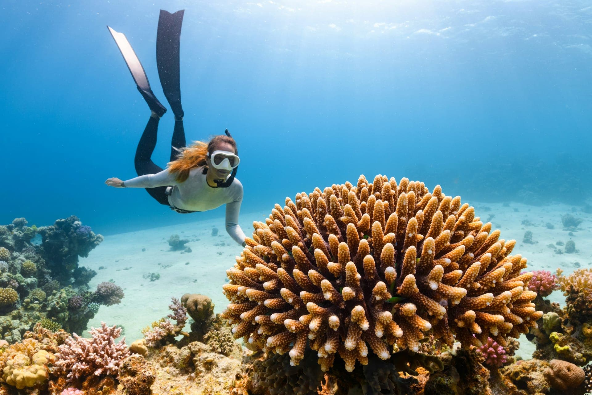 Coral Reef Restoration (Demo)